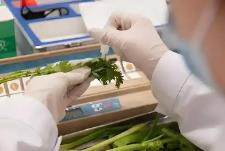 農(nóng)藥殘留檢測新國標3月1日起正式實施