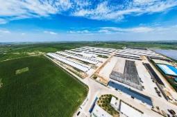 深度對接大市場 內(nèi)蒙古“內(nèi)需引擎”轟鳴