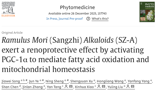 世界腎臟日 桑枝總生物堿發(fā)揮“糖-心-腎”共管