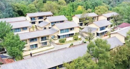 陜西留壩盤活深山資源走出產(chǎn)業(yè)富民路中國食品報(bào)