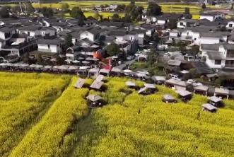 搭上“開(kāi)往春天的列車(chē)” 打卡成雅鐵路沿線美景