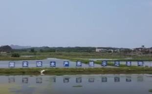 品嘗舌尖上第一口“鮮” “春日味道”豐富百姓餐桌嘗“鮮”經(jīng)濟(jì)熱力十足