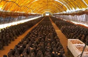 黑龍江杜爾伯特：菌菇產(chǎn)業(yè)多點(diǎn)開(kāi)花全域推進(jìn)