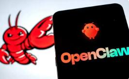 國家互聯(lián)網(wǎng)應(yīng)急中心和工信部發(fā)布風(fēng)險(xiǎn)提示 “養(yǎng)龍蝦”熱潮背后存隱憂