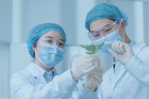 從“千人一方”到“一人一策” AI助力中醫(yī)診療進入個性化、精準治療時代