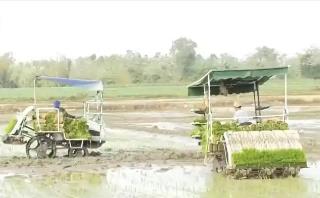 “科技+服務(wù)”護(hù)航春耕生產(chǎn) 為全年糧食穩(wěn)產(chǎn)豐收筑牢根基