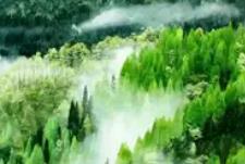 四川發(fā)布2025國土綠化公報