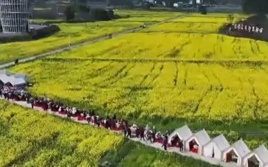 “花田+”新玩法解鎖好春光 農文旅融合新業(yè)態(tài)打造“春日經濟”消費新場景