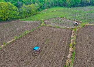 河南：春風入野農(nóng)事忙