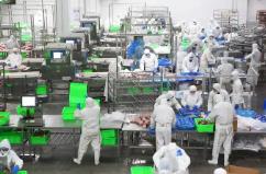 “美食之鄉(xiāng)”六合橫梁再“迎新”