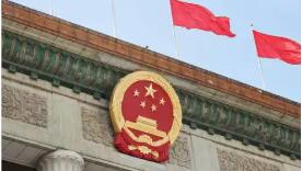 三部重要法律通過 “十五五”開局標(biāo)注國家立法新刻度