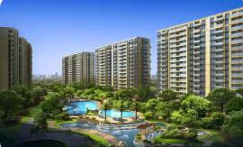 上海調(diào)降商業(yè)用房首付比例 其他城市料跟進(jìn)