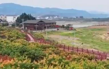 深耕“農(nóng)業(yè)+文化+旅游”融合發(fā)展 果農(nóng)種好“致富果”吃上“旅游飯”
