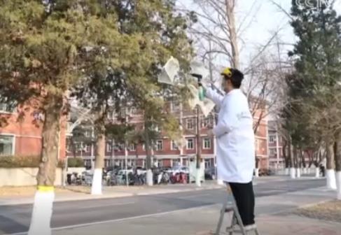 多地進入春季花粉過敏高發(fā)期 “秘密武器”助力花粉治理