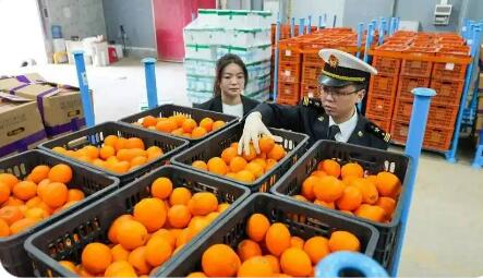 “生鮮集拼”海關(guān)監(jiān)管模式在湖南落地