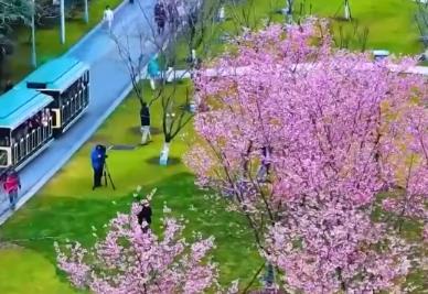 多地首個(gè)春假即將開(kāi)啟 文旅交通暖心“大禮包”助力出游