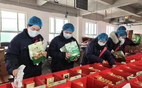 聚全國好核桃 賣全球大市場  陜西洛南全力打造百億級核桃產(chǎn)業(yè)集群