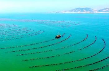 福建聚力推進深遠海養(yǎng)殖高質量發(fā)展