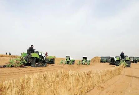 內(nèi)蒙古春季防沙治沙工作啟動