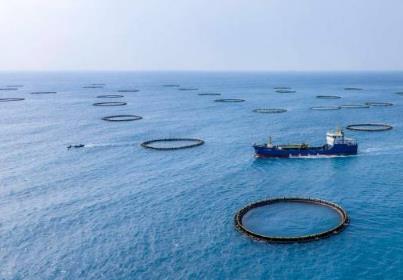 廣東以“媒體+”賦能美麗中國先行區(qū)建設(shè)