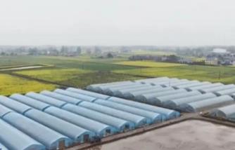 “智慧農(nóng)機+科技春管”助力春耕備耕不僅跑出“加速度”更育出“高質(zhì)量”