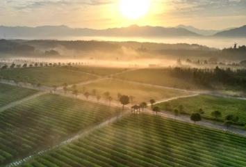 湖北加快打造新時(shí)代“魚(yú)米之鄉(xiāng)”