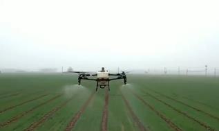 河南8500多萬畝小麥進入春管期 科技顯身手