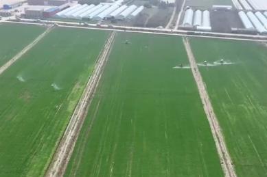 爭農(nóng)時、搶春管、推技術(shù)、保豐產(chǎn) 農(nóng)業(yè)科技助力下好春耕生產(chǎn)“先手棋”