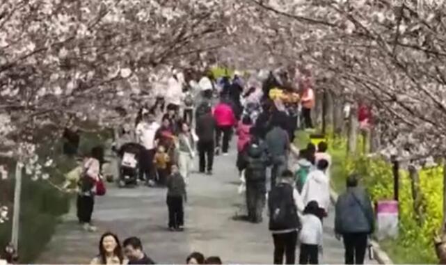 各地打造消費新場景 激發(fā)市場新活力