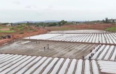 搶抓農(nóng)時 各地按下春耕備耕“加速鍵”