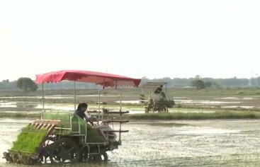 路通渠暢千畝良田插秧忙 高標(biāo)準(zhǔn)農(nóng)田改造為春耕按下“快進(jìn)鍵”