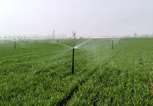 河南：萬(wàn)眼機(jī)井有“管家”