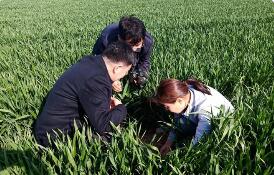 新修訂后的《全國農(nóng)業(yè)普查條例》公布 2026年5月1日起施行