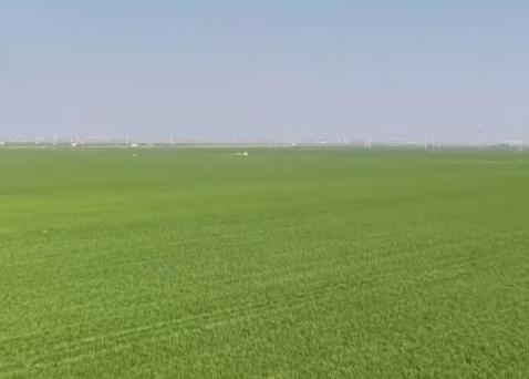 “數(shù)字田管家”管出田間好收成 “科技春耕圖”在希望的田野鋪展