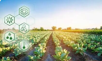 科學(xué)管護 綜合施策  四川以科技賦能春季農(nóng)業(yè)生產(chǎn)