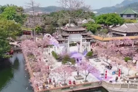 “美麗經(jīng)濟(jì)”激活鄉(xiāng)村文旅消費(fèi) “生態(tài)輪作+科技賦能”促進(jìn)特色產(chǎn)業(yè)延鏈增效