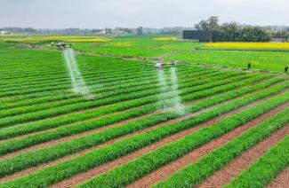 資金投入超22億 福建保障春季農(nóng)業(yè)生產(chǎn)開(kāi)好局
