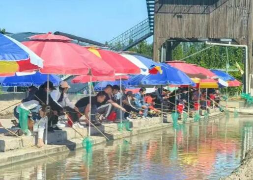 20260330204406540.jpg 20260330204406540.jpg