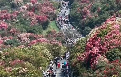 “花樣經(jīng)濟”升溫“花式”解鎖好春光新業(yè)態(tài)新場景讓“流量”變“留量”