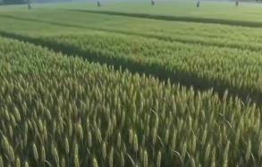 春耕春管向“新”而行 智慧農(nóng)業(yè)筑基把“中國飯碗”端穩(wěn)端牢