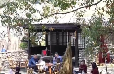 賞花觀鳥游“催熱”春日經(jīng)濟(jì) 以生態(tài)優(yōu)勢為媒激活多元業(yè)態(tài)“新”活力