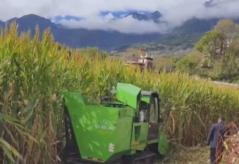 科技創(chuàng)新讓“良種”穩(wěn)糧倉底氣更足 中國人飯碗端得更穩(wěn)、更牢