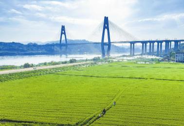 四川：春耕一線，看見(jiàn)“三變”