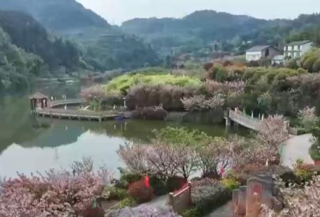 “賞花+”多業(yè)態(tài)蓬勃發(fā)展 農(nóng)文旅融合讓鄉(xiāng)村“顏值”變“產(chǎn)值”