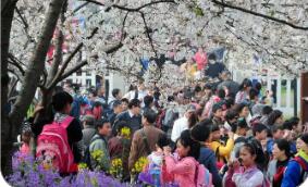 多地春假陸續(xù)落地 有望激發(fā)消費市場新增量