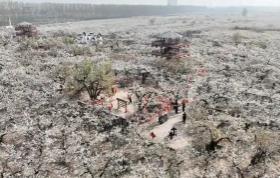 “中國(guó)鴨梨之鄉(xiāng)”邯鄲魏縣：書(shū)寫(xiě)一顆梨的“無(wú)限可能”