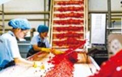 特色農(nóng)產(chǎn)品變身優(yōu)勢(shì)產(chǎn)業(yè)