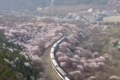 搭乘“開往春天的列車”看春日文旅一路生花“綻放”消費熱活力