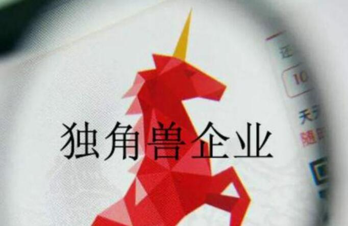 中國獨角獸企業(yè)占全球總量30% 總估值超1.6萬億美元