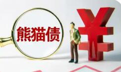 金磚國家新開發(fā)銀行首次在華發(fā)行雙向回撥機制70億元人民幣熊貓債券